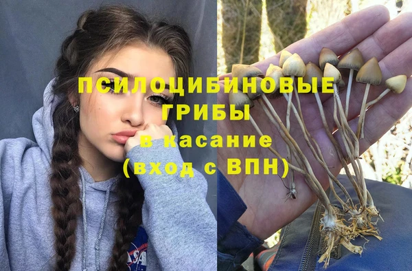 прущая мука Алзамай