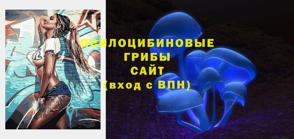 ALPHA-PVP Алексеевка