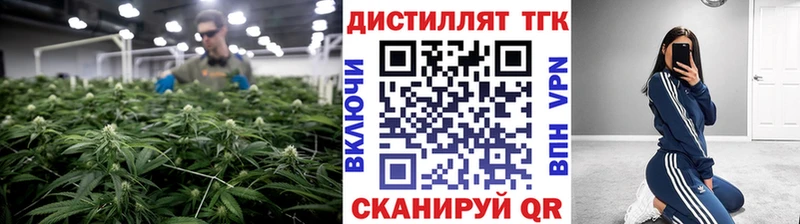 купить наркотик  Черкесск  Дистиллят ТГК THC oil 